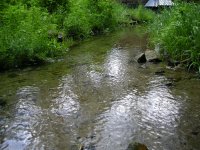 DSCN3737.jpg DSCN3737.jpg