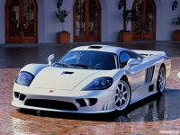 saleen3.jpg