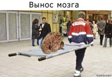 вынос мозга.jpg