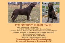 Грандос.JPG Грандос.JPG