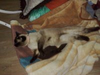 201220102815.jpg 201220102815.jpg