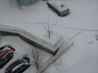 IMG_0146.jpg