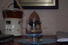 DSC_0011.jpg