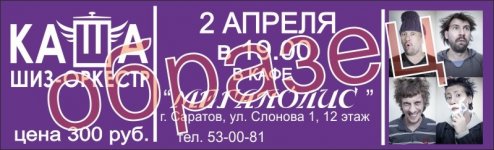 билет Каша.jpg
