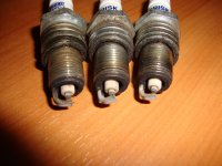 DSC01744.JPG