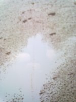 31032011367.jpg
