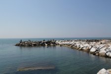 IMG_0909.JPG