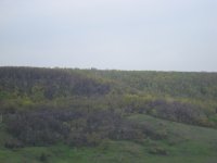 DSC08267.jpg