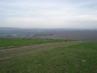 DSC08318.jpg