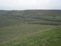 DSC08314.jpg