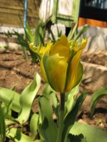 IMG_2510.jpg