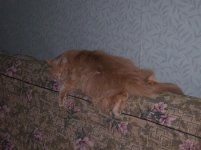 100_0469.jpg