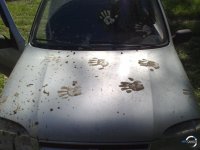 290520111335.jpg