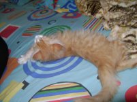 DSC01605.jpg