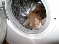 DSC01623.jpg