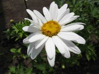IMG_2843.jpg