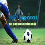 bdsoikeotot